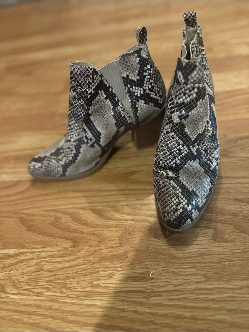 MIA Python-Print Ankle Boots in Black and Cream